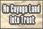 New Cayuga and Seneca County Website with information on Indian Land Trust Application.