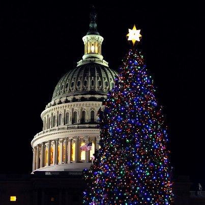 Photo: Last night the Capitol Christmas Tree was officially lit. My staff took a few pictures, including this one.