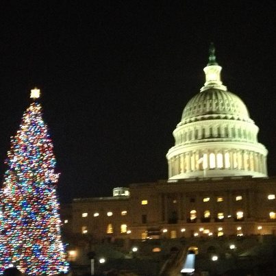 Photo: The Capitol Christmas tree lights were just turned on!