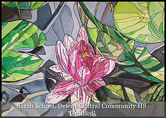 Sarah Schoel- Dewitt Central Community School- 'Untitled'