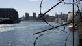 Newtown Creek, as seen from Queens, is an important water course with a winding history.