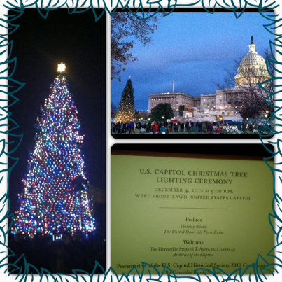 Photo: Today Members of the House and Senate held the annual Capitol Christmas Tree Lighting Ceremony. Try fitting this tree in the house!