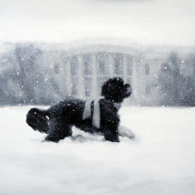 Photo: Here's a sneak peek at the 2012 White House holiday card featuring First Dog Bo: http://wh.gov/NVmZ