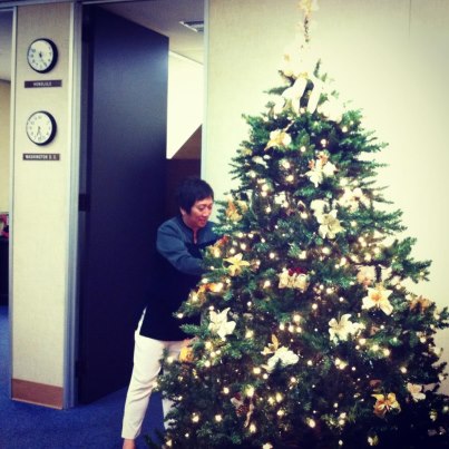 Photo: Getting the Honolulu office ready for the holidays.