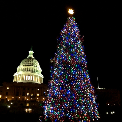 Photo: We lit the Capitol Christmas Tree tonight! Doesnt it look great?