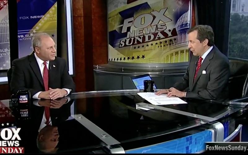 Whip-elect Scalise on Fox News Sunday