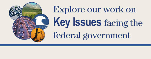 Key Issues Banner