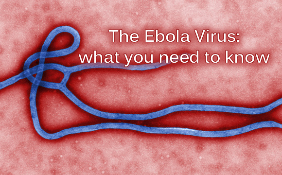 Ebola Information Guide