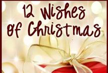 DC Christmas Wish List 2013 / by Congressman Stephen Fincher