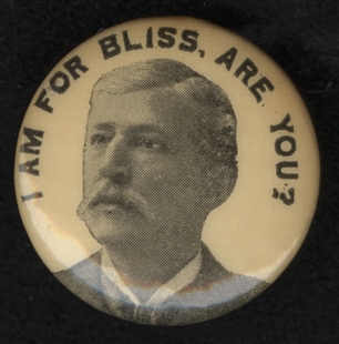 Aaron Thomas Bliss Campaign Button