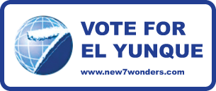 Vote for El Yunque