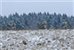 U.S. soldiers patrol through a snow covered field toward their next objective during a squad fire exercise at Hohenfels Training Area, Germany, Dec. 3, 2014. U.S. Army photo by Sgt. William Tanner