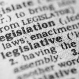dictionary entry for the word legislation