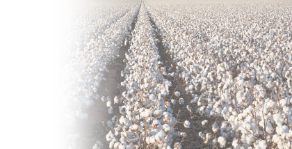 thompson_rotator_images-cotton.png