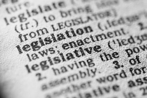 dictionary entry for the word legislation