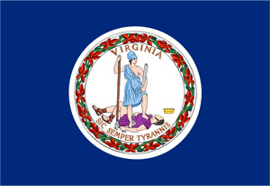 state flag