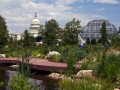Earth Day Celebration at the U.S. Botanic Garden