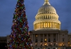 The Capitol Christmas Tree in 2013