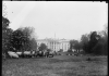 Sheep on the White House lawn, taken between 1916-1919. Image courtesy Library of Congress