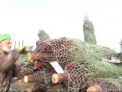 Trees For Troops Delivers Trees For the Holidays