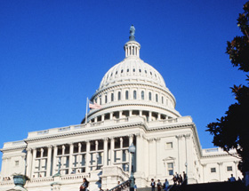 Capitol steps