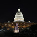 Capitol Christmas Tree - 2012