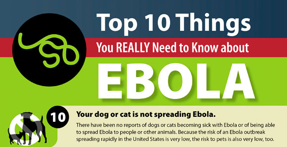 Top 10 things you really should know about Ebola