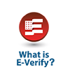 What Is E-Verify Button