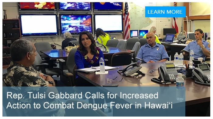 Rep. Tulsi Gabbard Calls for Increased Action to Combat Dengue Fever in Hawaiʻi