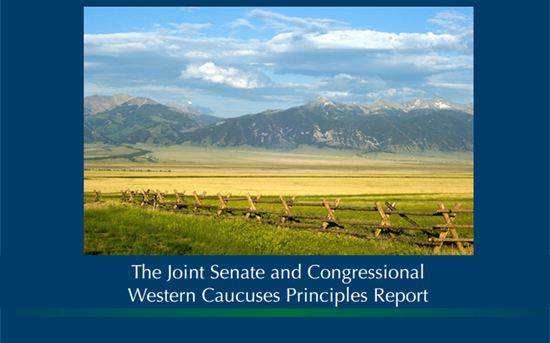 Western Caucus Principles Report