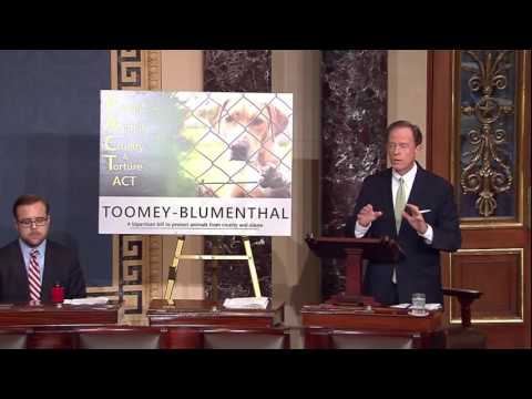 Toomey: Protect All Animals from Abuse
