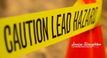 Caution: Lead Hazard