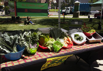 Vegetables grown by D-Town Farm offered for sale in recent weeks. 