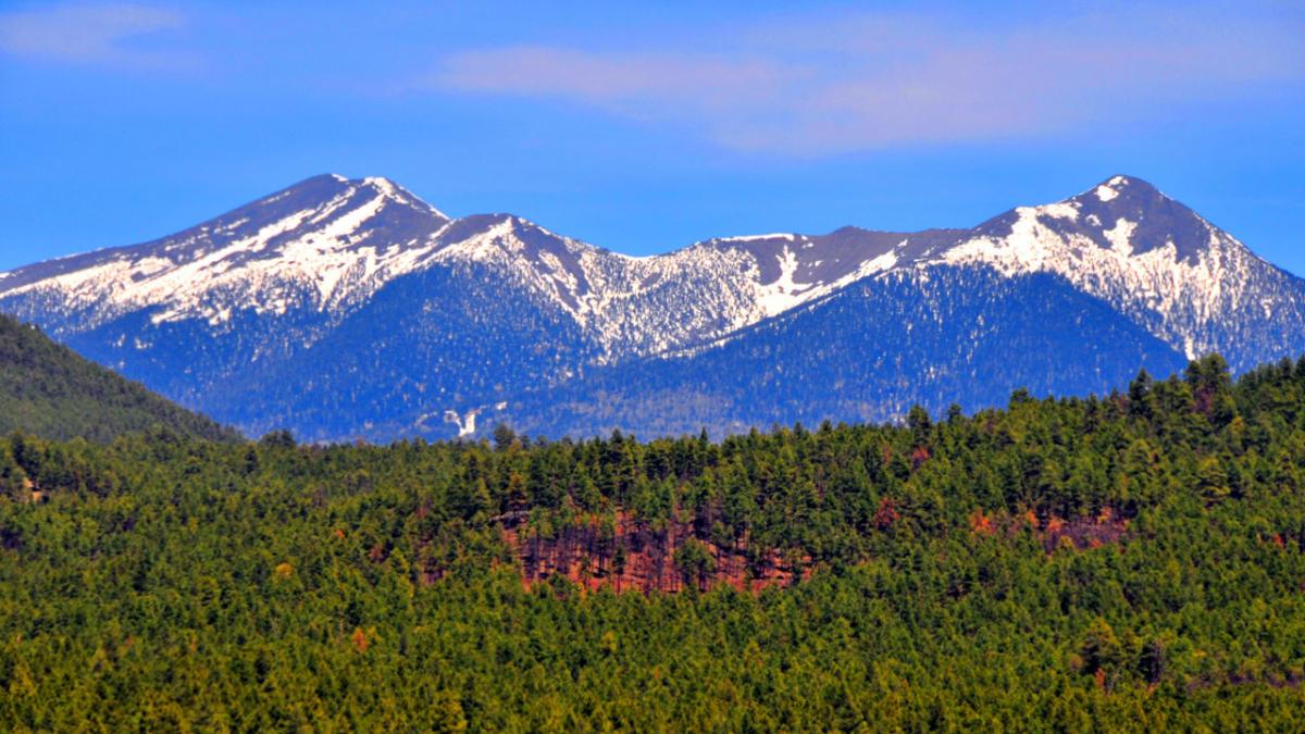 Coconino County mountains