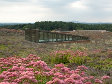 The green roof in bloom at the Packard Campus for Audio-Visual Conservation, a Library of Congress facility managed by the AOC.