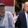 Sanders adviser: 'Nothing polite to say' about Trump victory
