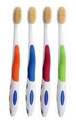Antimicrobial Adult Toothbrush