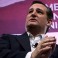 Cruz predicts 'pitchforks and torches in the streets' if GOP doesn't deliver