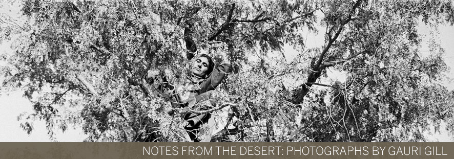 Notes from the Desert: Gauri Gill