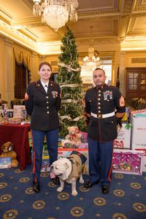 Senate VA Committee Hosts Toys for Tots Event