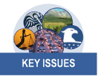 Key Issues Medallion