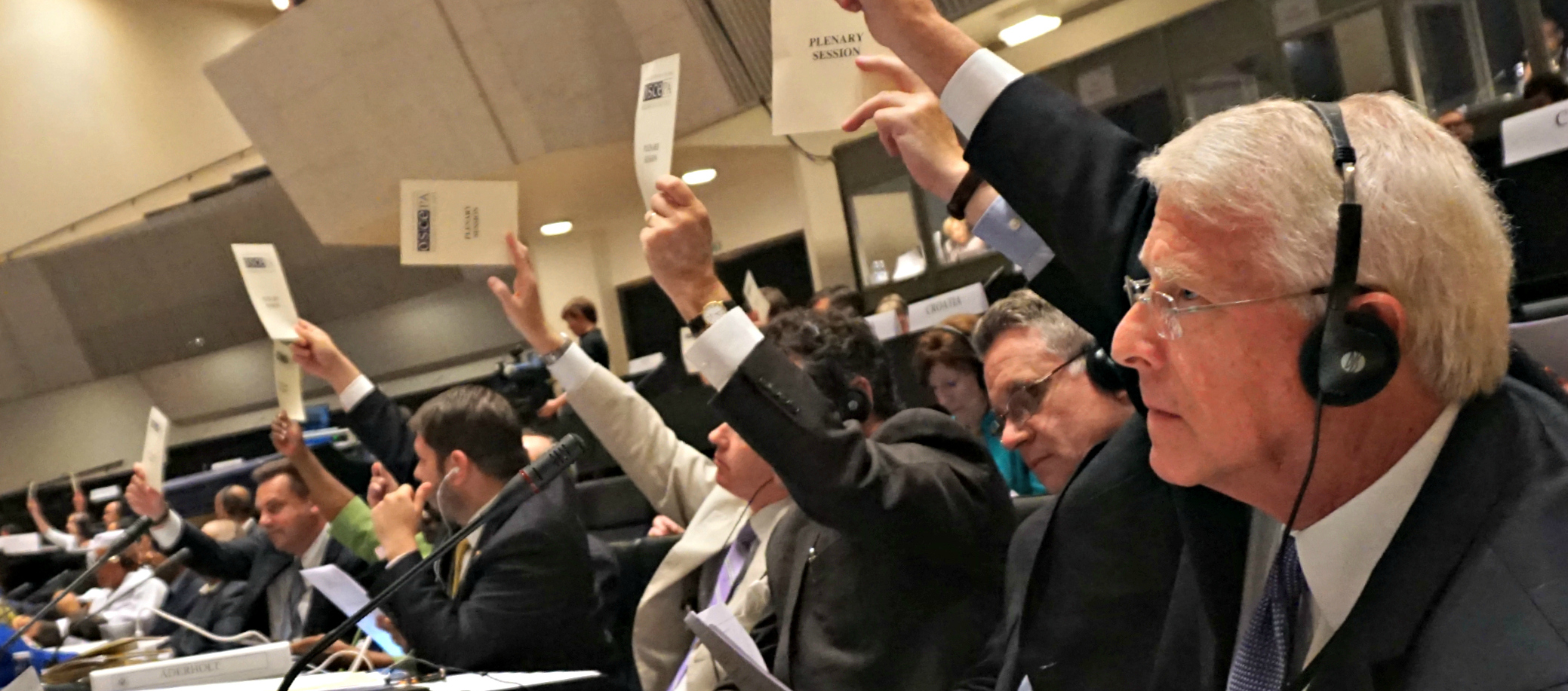 US Delegation Voting at 2015 OSCE PA