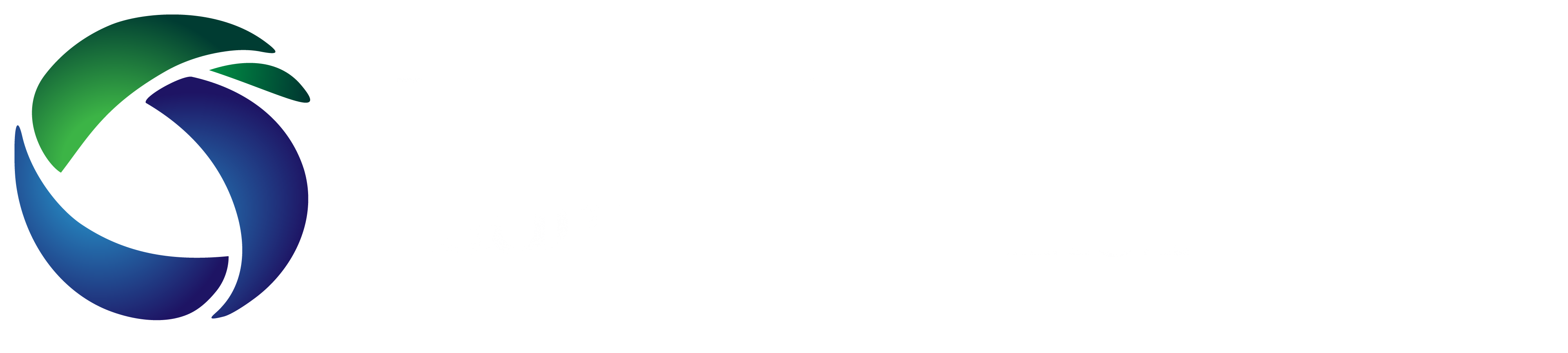 Information Technology Industry Council