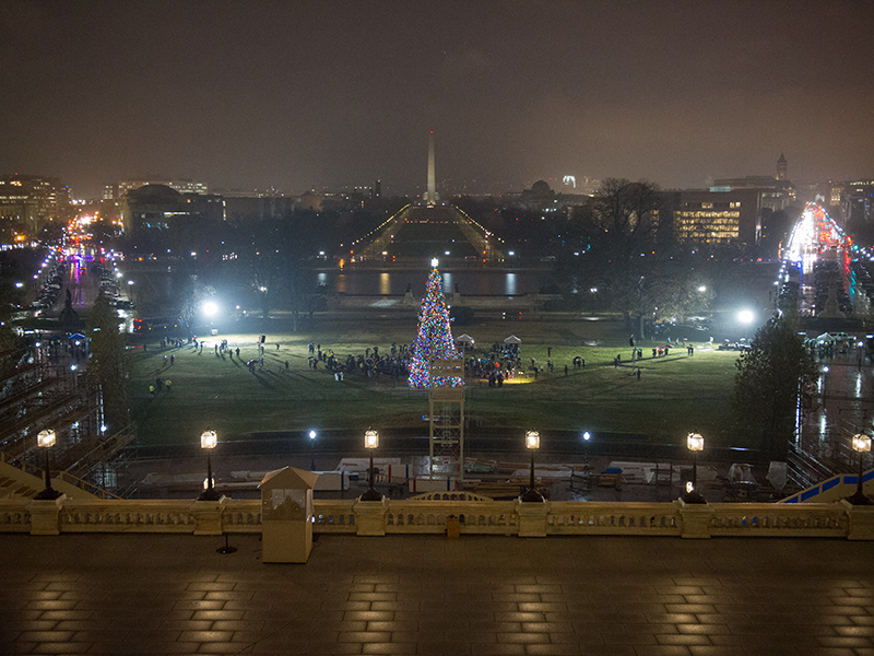 The 80-foot-tall Engelmann Spruce illuminates the West Front Lawn of the U.S. Capitol from nightfall until 11 p.m. each night until December 25. (Photo by Kristie Boyd)