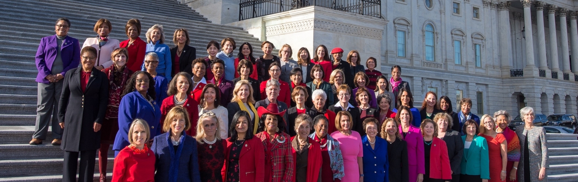 Democratic Women of the 115th Congress