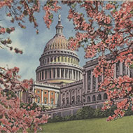 The Tourist's Capitol