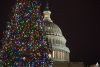 2017 U.S. Capitol Christmas Tree Lighting Ceremony