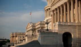 U.S. Capitol Columns and Steps