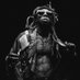 Lil Wayne WEEZY F