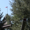 Forsyth Courthouse Flag and Cannon